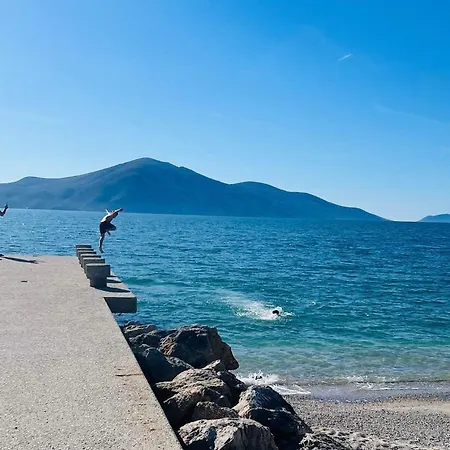 Hasani * Vlorë